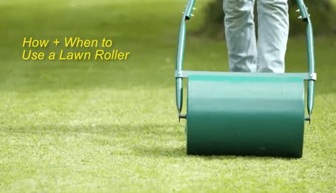 When to Use a Lawn Roller + How it Works? - LawnsBesty Planting Grass Seed, Lawn Roller, Lawn Repair, Lawn Rollers, Planting Grass, Garden Watering System, Lawn Care Tips, Lawn Maintenance, Lawn And Landscape