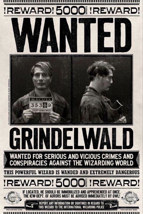 Harry Potter Newspaper, Fantastic Beasts Hogwarts, Harry Potter Creatures, Beast Film, Imprimibles Harry Potter, Daily Prophet, Dark Wizard, Harry Potter Poster, Gellert Grindelwald