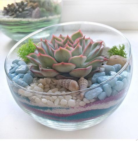 Fishbowl Centerpiece, Tree Projects, House Plant, Glass Bowl, Dollar Tree, House Decor, Terrarium, Shower Ideas, House Plants