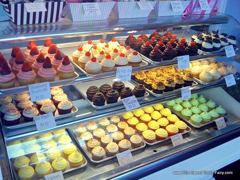 Cupcake Display Case | we offer a variety of 12 cupcake flav… | Megan Faulkner Brown | Flickr Diy Bakery Display, French Macarons Flavors, Red Wine Chocolate Cake, Bakery Display Case, Pastry Display, Bakery Shop Design, Macaron Flavors, Bakery Decor, Bakery Display