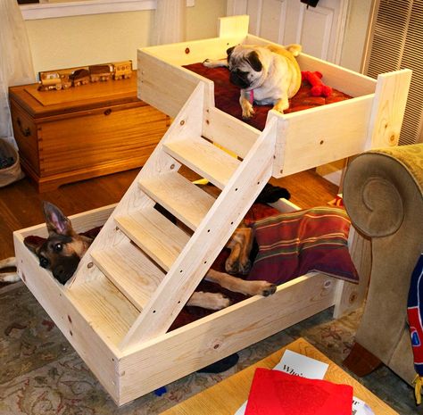 Dog Bunk Beds, Katt Diy, Pallet Dog Beds, Dog Feeding Station, Diy Bunk Bed, Dog Stairs, Diy Dog Bed, Dog Rooms, Dog Projects