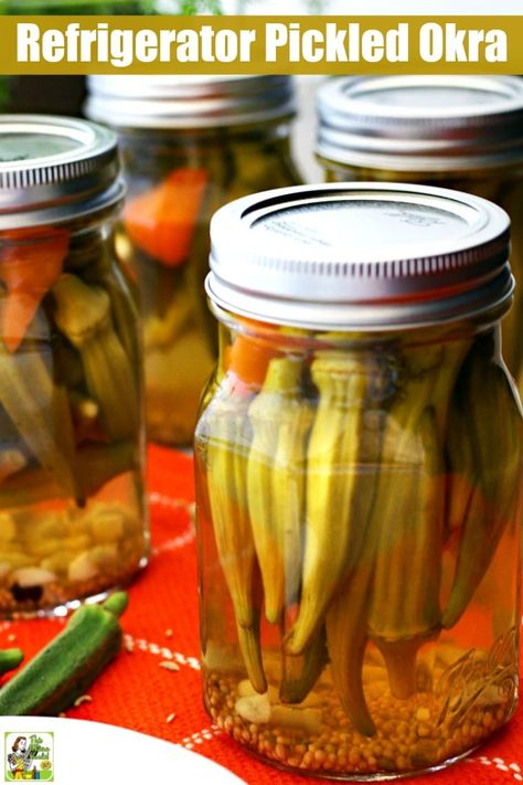 Refrigerator Pickled Okra Recipe, Canning Pickled Okra, Spicy Pickled Okra, Pickled Okra Recipe, Pickled Okra Recipes, Okra Recipe, Dallas Homes, Recipe For Beginners, Picnic Snacks