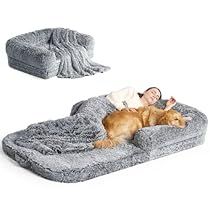 Dog Bed For People, Dog Bed For Humans, Human Dog Bed, Human Dog, Bed Grey, Sleeping Cots, Dog Couch, Bed Dog, Memory Foam Dog Bed