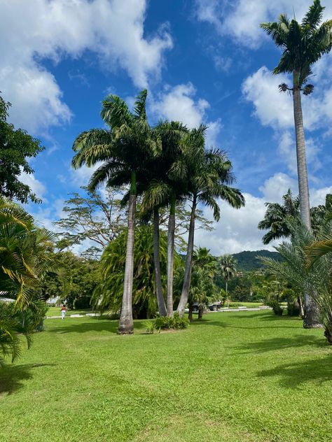 Dominica Dominica Island Caribbean, Dominica Aesthetic, Dominica Island, Caribbean Countries, Middle America, Travel America, Caribbean Art, Horse Aesthetic, Nature Adventure