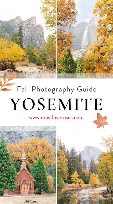 Are you planning to visit Yosemite in the Fall? Here's a photography guide for you that includes the best places to see Fall colors and the best photo spots! Yosemite is a bucket list item for California USA travel, especially in the Fall, and is one of the best places to visit in California! Yosemite In The Fall, Places To Visit In California, Yosemite Trip, National Parks America, Yosemite Falls, Visit California, Fall Hiking, Photography Guide, Fall Travel