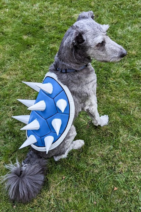 Learn how to make a DIY blue shell costume for kids, adults, or dogs. The blue shell from Mario Kart is a fun, unique, and simple Halloween costume. Since my... The post DIY Blue Shell Costume (From Mario) appeared first on Heather Handmade. Super Mario Dog Costume, Mario Dog Costume, Mario Kart Costumes, Easy Costumes To Make, Shell Costume, Bowser Costume, Simple Halloween Costume, Mushroom Costume, Mario Costume