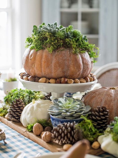 Easy Centerpieces for Thanksgiving or Fall Parties >> http://www.hgtv.com/design/make-and-celebrate/entertaining/30-thanksgiving-centerpieces-pictures?soc=pinterest Simple Centerpieces Diy, Pumpkin Tablescape, Succulent Pumpkin, Thanksgiving Entertaining, Fall Pumpkin Decor, Succulent Centerpieces, Simple Centerpieces, Faux Pumpkins, Holiday Tablescapes