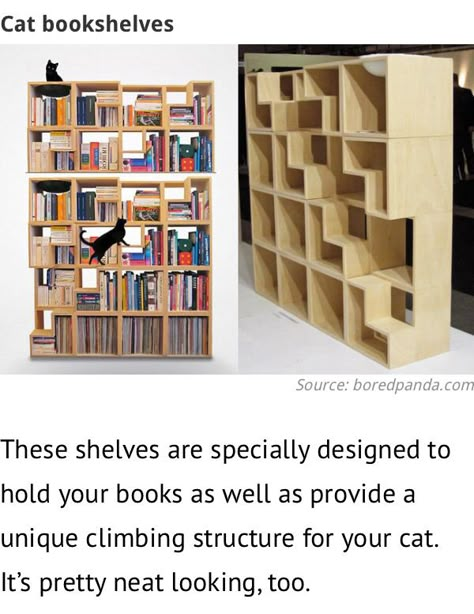 Cat Book Shelves, Cat Cubby Ideas, Cat Bookshelves, Cat Bookcase, Cat Apartment Ideas, Apartment Cat Ideas, Cat Bookshelf, Cat Library, Game Room Ideas