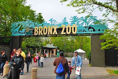 Courtesy of TripAdvisor Member spallared Bronx Zoo New York, Zoo Entrance, Photo New York, Bronx Zoo, School Field Trip, I Love Ny, Nyc Trip, City That Never Sleeps, Concrete Jungle