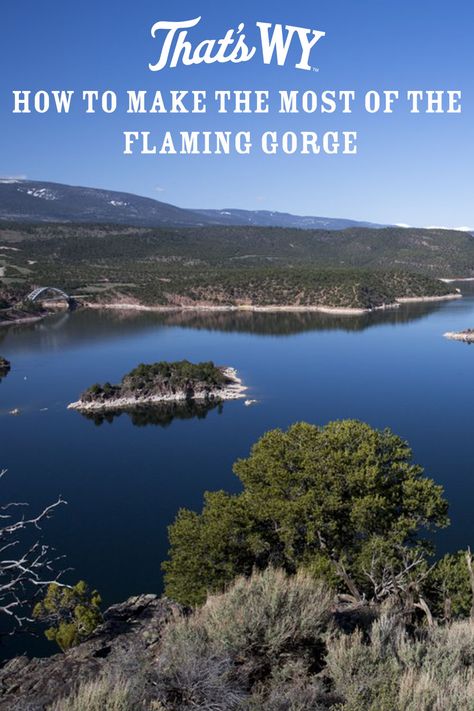 The Flaming Gorge National Recreation Area is full of hidden gems. The beautiful reservoir is surrounded by stunning red cliffs and the Ashley National Forest. These combined create the perfect location to explore the great outdoors. Flaming Gorge National Recreation Area, Travel Wyoming, Flaming Gorge, Hydroelectric Power Plant, Wyoming Travel, Rock Springs, Green River, Travel South, Water Skiing