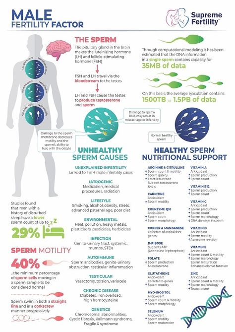 Men’s Fertility Diet, Men Fertility Boost, Fertility Supplements For Men, Men Fertility Trying To Conceive, Foods For Male Fertility, Men’s Fertility, Increase Male Fertility, Mens Fertility Tips, Male Health Tips