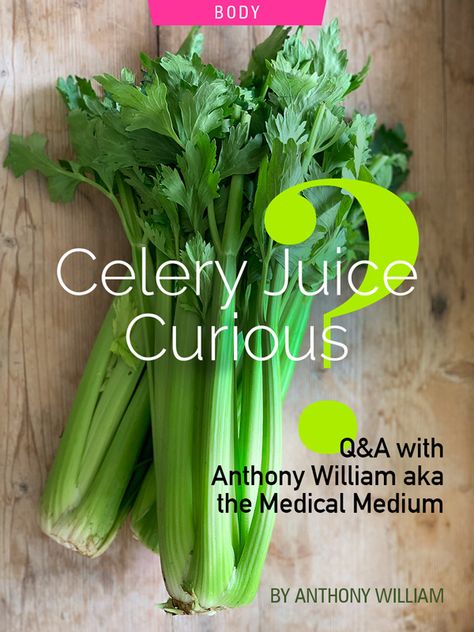 Medical Medium Celery Juice Recipe, Medical Medium Thyroid Healing Diet, Anthony Williams Recipes, Anthony William Medical Medium Recipes, Medical Medium Celery Juice, Anthony William Medical Medium, Medical Medium Anthony William, Medical Medium Recipes, Celery Juice Benefits