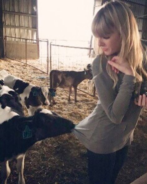 Taylor Swift Fotos, Photos Of Taylor Swift, Miss Americana, Taylor Swift Cute, Estilo Taylor Swift, Swift Photo, Taylor Swift Funny, Rare Pictures, Swift 3