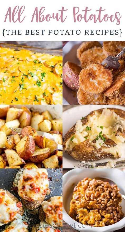 Learn about types of potatoes and get our best potato recipes! Baked potato recipes, potato main dish recipes, potato side dishes and more potato ideas! #potatoes #potatorecipes #sidedishes #bakedpotatoes #potatocasserole Potato Main Dish, Potato Main Dish Recipes, Potato Recipes Baked, Tasty Potato Recipes, Crispy Roasted Potatoes, Best Potato Recipes, Recipes Potato, Types Of Potatoes, Potatoes Recipes