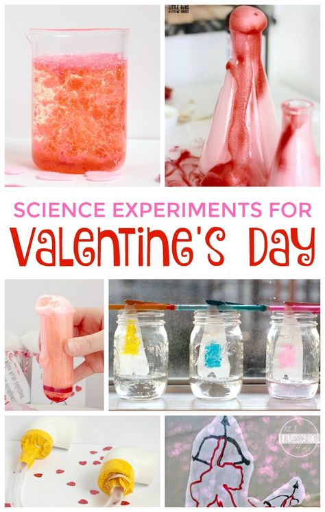 Valentines Day Science Experiments, Valentines Stem, Valentines Day Science, Prek Valentines, Valentine Science Experiments, Friendship Week, Valentines Activity, Valentine Stem, Stem Preschool