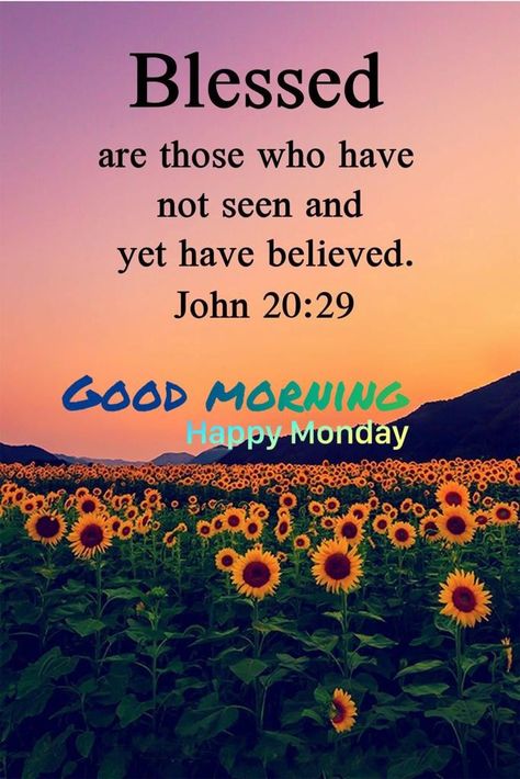 Monday Bible Verse Good Morning, Monday Bible Verse, John 20 29, Good Morning Monday, Good Morning Happy Monday, Good Morning Greeting Cards, Morning Monday, Greetings Quotes, Good Morning Wishes Quotes