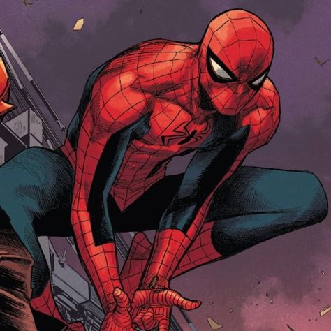 Spider Man Matching Pfp, Spider Man Matching, Peter Parker Comic, Lee Weeks, Spider Man Costume, Spiderman Comic Art, Back At It Again, Spectacular Spider Man, Spiderman Pictures