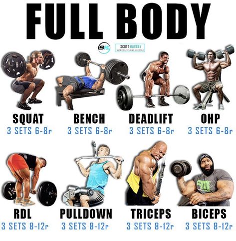 Push Pull Workout, Pull Day Workout, Body Squats, Fitness Studio Training, Full Body Workout Routine, Workout Splits, Trening Fitness, Weight Training Workouts, Different Exercises