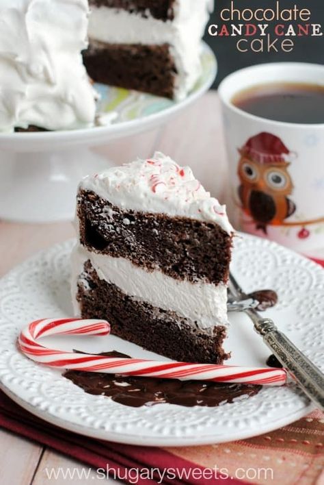 Chocolate Candy Cane Cake: no one will know it started from a box mix! So rich, fudgy, and full of peppermint candy! #christmas #cake #chocolatecake Candy Cane Cake Recipe, Candy Cane Cake, Cupcake Diy, Dessert Cravings, Peppermint Recipes, Peppermint Cake, Shugary Sweets, Sweet Christmas, Christmas Cooking