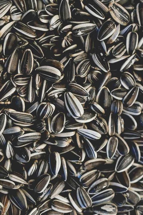 Benefits Of Sunflower Seeds, Sunflower Seeds Benefits, Healthful Foods, Seeds Benefits, Sunflower Butter, Best Multivitamin, Vitamin B Complex, Nuts & Seeds, Edible Oil