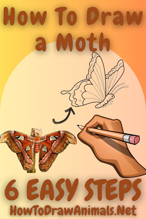 Step-by-step guide for drawing a moth - perfect for artists of all skill levels! Moth Sketches, Tutorial On Drawing, Moth Illustration, Art Of Drawing, Winged Creatures, Draw Animals, Easy Drawing Tutorial, Drawing Tutorial Easy, Delicate Beauty