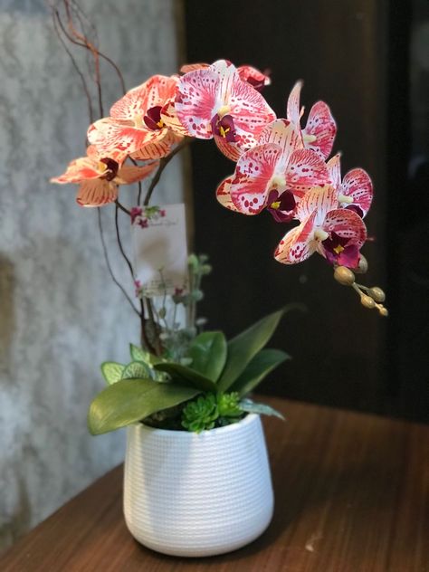 Orchid Decor, Orchid Photography, Home Floral Arrangements, Orchids Garden, Artificial Orchids, Orchid Arrangements, Garden Trees, Exotic Plants, Flower Boxes