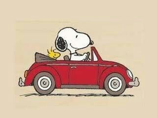 #snoopy #woodstock #driving Snoopy Driving, Woodstock Snoopy, Lucy Van Pelt, Peanuts Cartoon, Peanuts Characters, Charlie Brown Snoopy, Snoopy Quotes, Snoopy Pictures, Snoop Dog