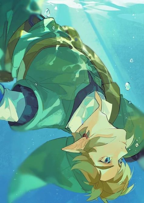 Aldnoah Zero, Zelda Skyward, Link Art, Nintendo Characters, Link Zelda, Zelda Art, Legend Of Zelda Breath, Zelda Breath, Twilight Princess