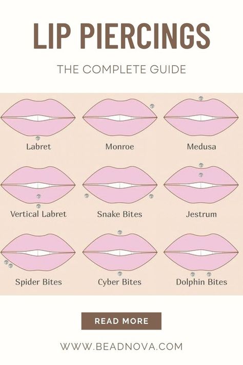 lip piercings Lip Piercing Chart, At Home Piercing, Least Painful Piercings, Upper Lip Piercing, New Ear Piercing, Cheek Piercings, Mouth Piercings, Healing Inspiration, Ear Piercings Chart