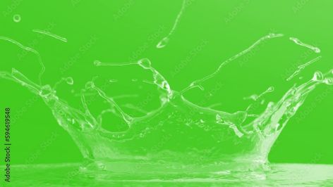 Download droplets. Water drops isolated on green screen background. Stock Video and explore similar videos at Adobe Stock. Drop Water, Screen Background, Green Screen Backgrounds, Green Screen, Water Drops, Water Drop, Adobe Stock, Stock Video, Screen