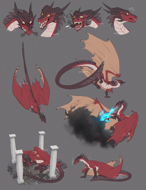 Dragon Poses, Dragon Anatomy, Sketch Page, Dragon Drawings, Dragon Designs, Wings Of Fire Dragons, Dragon Artwork Fantasy, Dragon Sketch, Seni 2d