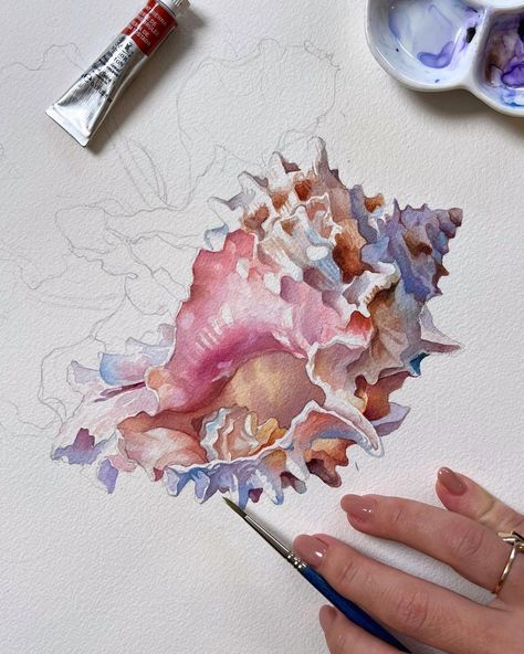 Shell Watercolor, Gcse Art Sketchbook, Inspiration Painting, Seashell Art, Arte Sketchbook, Watercolor Drawing, Art Inspiration Painting, Painting Art Projects, Pics Art