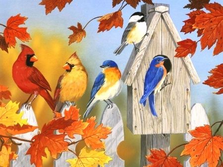 Winter Cardinal, Fall Gathering, Christmas Diamonds, Gems Art, 500 Piece Puzzles, Red Birds, Autumn Art, Big Canvas Art, Painting Kits