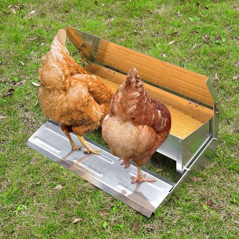 Poultry Chicken Auto Feeder Self Opening Aluminum Feed Tank Chicken Feeder Diy, Feed Trough, Ducks And Geese, Galvanized Sheet Metal, Poultry Feeders, Diy Shower Curtain, Diy Bunk Bed, Chicken Tractors, Chicken Feeders