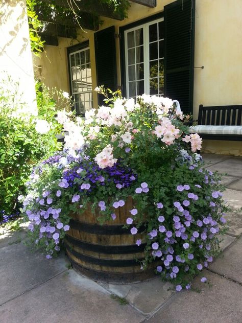 Roses in a pot Rose Bush In Pot, Roses In A Pot, Barrel Planter Ideas, Barrel Garden Planters, Roses In Pots, Wine Barrel Garden, Potted Roses, Atrium Garden, Wine Barrel Planter