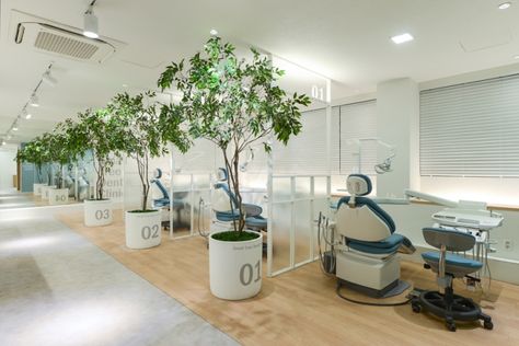 Small Tree Dental Clinic by D&A Partners, Chungju – South Korea » Retail Design Blog Orthodontic Office Design, Doctor Office Design, Pediatric Dental Office, Healthcare Interior Design, Dental Office Design Interiors, Dental Office Decor, Dental Design, Pediatric Dental, Clinic Interior Design