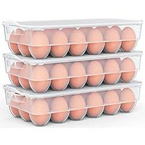 Egg Container, Egg Tray, Groove Design, Egg Box, Refrigerator Organization, Egg Storage, Plastic Eggs, Plastic Container Storage, Food Storage Containers Organization