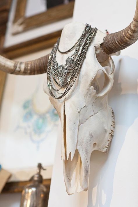 10 Seriously Creative Ways to Hang Your Jewelry - hang necklaces on a decorative skull | StyleCaster Desert Interior, Yoga Party, Long Horns, Cow Skulls, Steer Head, Steer Skull, Animal Skull, Vulture Culture, Deer Skull