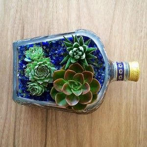 Crown Bottle Crafts, Pot Liquor, Crown Royal Crafts, Crown Royal Bottle, Alcohol Bottle Crafts, Crown Bottle, Liquor Bottle Crafts, Garden Planters Pots, Bombay Sapphire