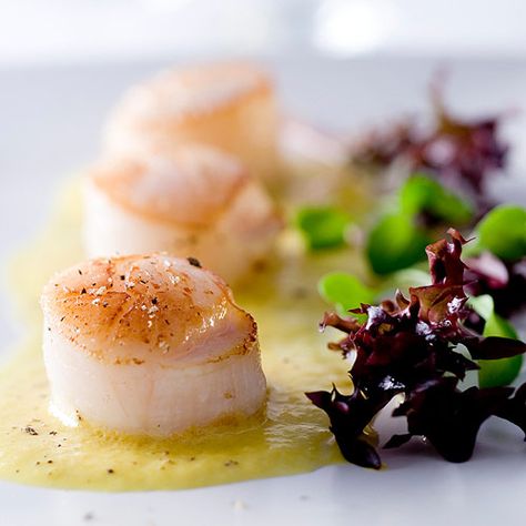 Sous Vide Scallops, Himalayan Salt Block Recipes, Sur La Table Recipes, Grilled Sea Scallops, Salt Block Recipes, Cooking Lamb Chops, Coulis Recipe, Salt Block Cooking, Lime Aioli