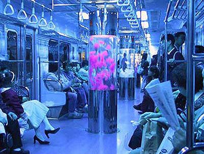 #SubwaySeoul Subway Train, Large Lamps, Subway Art, Train Rides, A Train, After Dark, Installation Art, Lava Lamp, Amazing Art