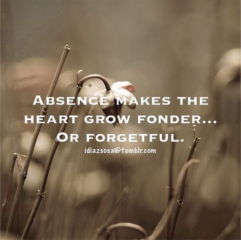 Absence makes the heart grow fonder... | Flickr - Photo Sharing! Makes The Heart Grow Fonder, Absence Makes The Heart Grow Fonder, Nerd Love, Quotes Deep Feelings, Live Happy, Positive Quotes For Life, Leadership Quotes, Positive Life, Life Advice