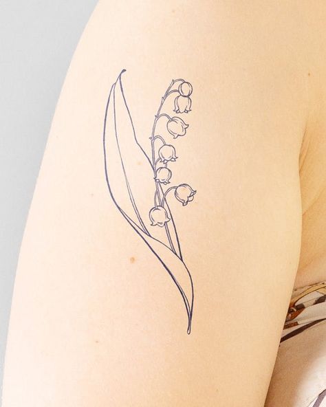 Lilly Of The Valley Tattoo Fine Line, Eucalyptus Tattoo, Valley Tattoo, Lily Flower Tattoos, Pretty Plant, Fairy Tattoo Designs, Tattoo Signs, Lily Tattoo, Chrysanthemum Flower