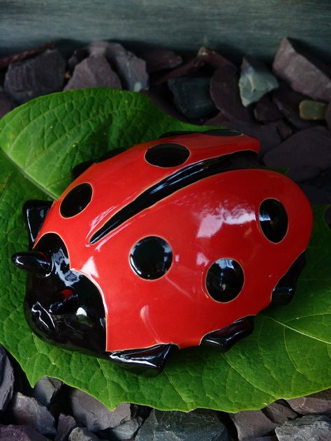 Ceramic Ladybug Clay Ladybug, Ceramic Bug Art, Ceramic Ladybug, Clay Ladybird, Insect Ceramics, Ladybug Ceramic, Human Language, Red Strawberry, Baboon