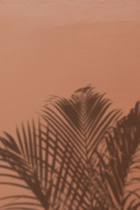 Brown Palm Tree Aesthetic, Palm Tree Shadow, Shadow Background, Wallpaper Aesthetic Vintage, Tree Shadow, Iphone Light, Window Shadow, 90s Wallpaper Hip Hop, Background Psd