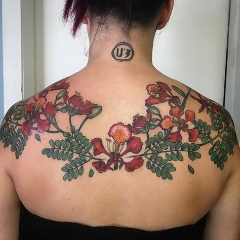 Flamboyant tree upper back tattoo Flamboyant Tree Tattoo, Flamboyant Flower Tattoo, Floral Upper Back Tattoo, Poinciana Tattoo, Chest Flower Tattoo, Botanical Tattoo Sleeve, 00 Tattoo, Flamboyant Tree, Flower Reference