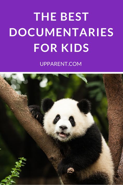 Documentaries For Kids, My Octopus Teacher, Homeschool Curriculum Planning, Instructional Materials, Summer Reading Challenge, Documentary Movies, Curriculum Planning, Best Documentaries, Kids Vacation