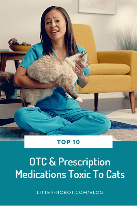 Knowing how hard it is to pill cats, it seems ironic that our feline friends will electively eat some human medications on their own! Find out what common over-the-counter (OTC) or prescription medications are toxic to cats. Cat Friendly Over The Counter Medicine, Toxic To Cats, Toxic Plants For Cats, Litter Robot, Iv Fluids, Diaper Rash Cream, Cat Reading, Cat Nails, Veterinary Medicine