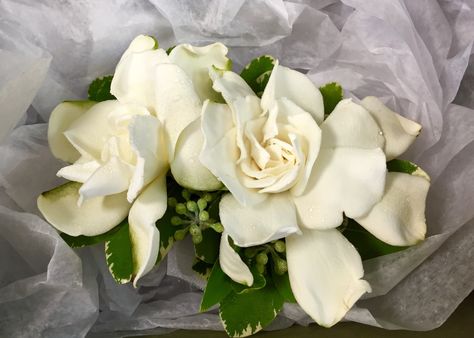 Gardenia Corsage Gardenia Wrist Corsage, Gardenia Corsage, 70th Wedding Anniversary, Prom Corsages, Corsage Prom, Indoor Herb Garden, Event Floral Design, Wedding Anniversary Party, Centerpiece Ideas