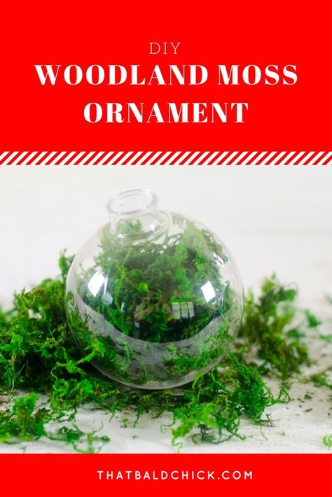 This homemade Woodland Moss Ornament is simple and elegant! #diy #Christmas #ornament Moss Tree, Diy Woodland, Diy Christmas Ornament, Christmas Bauble, Holiday Tree, Christmas Baubles, Tree Ornament, Diy Christmas, Tree Ornaments